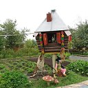 ���� ������, ����������, 81 ��� - ��������� 18 ������� 2015 � ������ �2015�