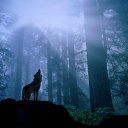 ���� Kolya, ����, 52 ���� - ��������� 10 ������ 2015 � ������ ������ ��������