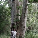 ���� �������, �������, 60 ��� - ��������� 2 ����� 2016