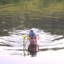 ���� �����, ��������, 55 ��� - ��������� 1 ������� 2015 � ������ ���� ����������