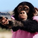 ���� �����, ���� - ��������� 11 ������� 2016 � ������ ���� ����������