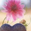      ;              ;     ,     ,  :    !    !    