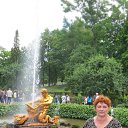 ���� ���, ���������, 73 ���� - ��������� 8 ������ 2016 � ������ ���� ����������