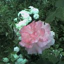 ���� �������, ��������� - ��������� 26 ������ 2016 � ������ ���� ����������