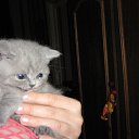 ���� ������, �����-���������, 70 ��� - ��������� 4 ������ 2015 � ������ ����� �����