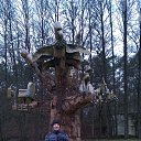 ���� Ilja, ������, 43 ���� - ��������� 28 ������ 2016 � ������ ���� ����������