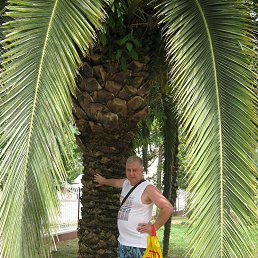 �����, ������, 56 ���