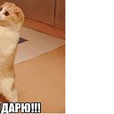 ���� ��������, ��������, 54 ���� - ��������� 29 ������� 2016 � ������ ������ ��������