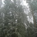 ���� ����, ������, 61 ��� - ��������� 8 ������ 2015 � ������ ������� ������� �����