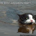 ���� �����, ������ - ��������� 21 ������� 2015 � ������ ������ ��������