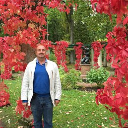 �����, �����-���������, 62 ����