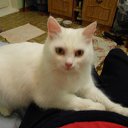 ���� Olezhka***, ����, 65 ��� - ��������� 25 ������� 2015 � ������ ����� ���������