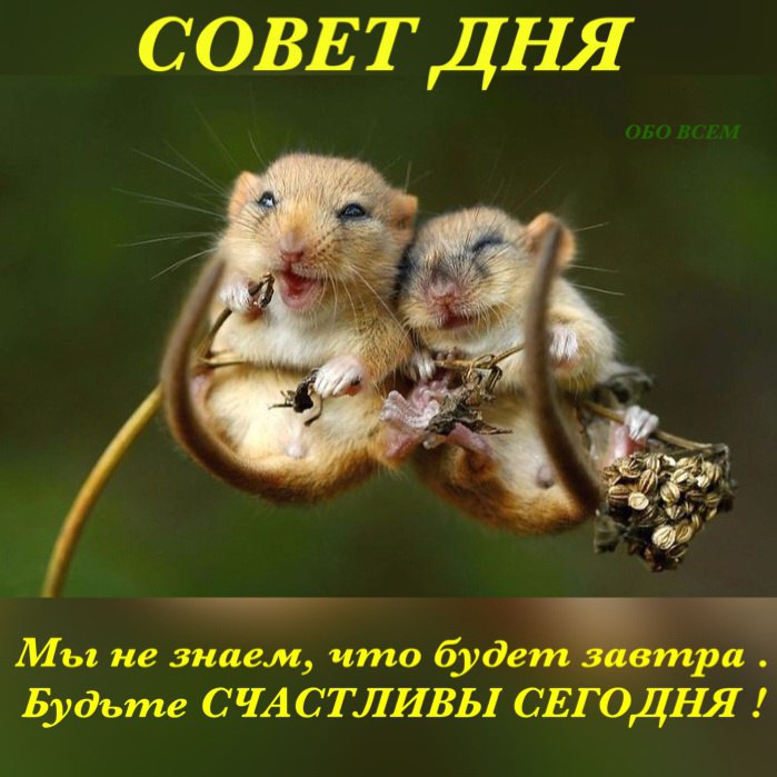Давайте жить, любить и удивляться, Давайте верить, помнить и жалеть, От счастья плакать, от души ...