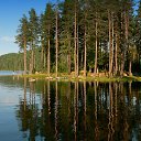 ���� ��������, ������������ - ��������� 27 �������� 2015 � ������ ������ ��������