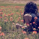 ���� �����, �������, 44 ���� - ��������� 17 ������� 2015 � ������ ���� ����������