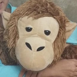 ������, ������, 63 ����