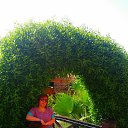 ���� �����, ������, 48 ��� - ��������� 7 ������ 2015 � ������ �������-2015�