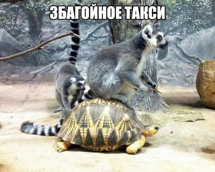 �������� ������ � ������ - 6 ����� 2016 � 19:05