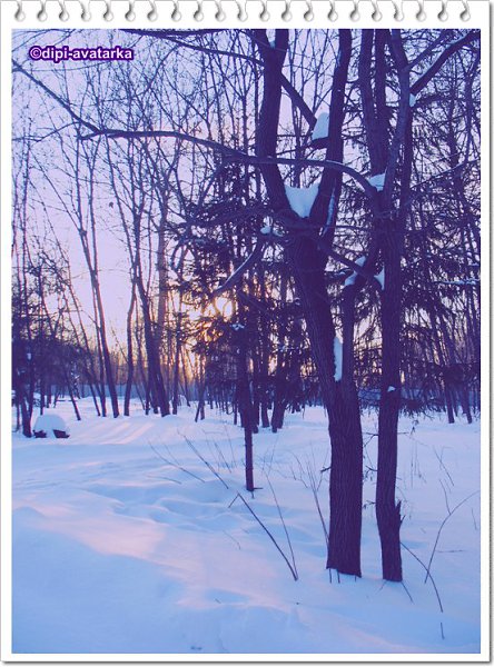 dipi-avatarka - 23  2016  09:30