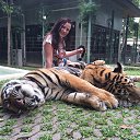 ���� ��������, �����-���������, 53 ���� - ��������� 11 ������ 2016 � ������ ���� ����������