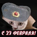���� ��, �������, 36 ��� - ��������� 23 ������� 2016 � ������ ������ ��������