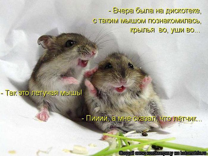 ��� ���� - 1 ������ 2015 � 10:08