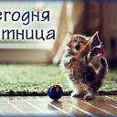 ���� ���������, �����������, 63 ���� - ��������� 10 ������ 2016 � ������ �������� ��������