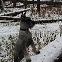 ���� �������, ������, 47 ��� - ��������� 18 ������ 2016