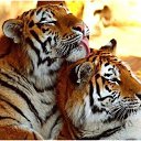 ���� �������, ������� - ��������� 22 ������� 2015 � ������ ������ ��������