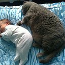 ���� Antonina, �������, 44 ���� - ��������� 4 ������� 2015 � ������ �khhjkj�