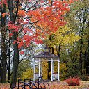 ���� �����, �����, 64 ���� - ��������� 9 ������ 2015 � ������ ��������� ����. 25.10.2015�