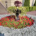 ���� ���, �����, 42 ���� - ��������� 14 ������ 2015 � ������ ������ ��������