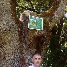 ���� ������, ������������, 64 ���� - ��������� 9 ����� 2016