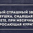 ���� �����, ������, 52 ���� - ��������� 29 ������ 2015 � ������ ������ ��������