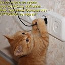���� ������, ����������� , 45 ��� - ��������� 16 ������� 2015