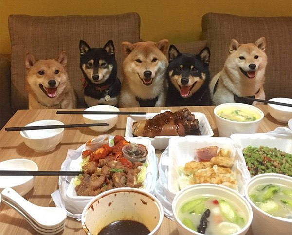 Ну что, господа, пора кушать!