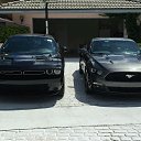 ���� ����, ������, 55 ��� - ��������� 2 ������ 2015 � ������ ���� ����������