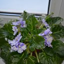 ���� ������, ���������, 65 ��� - ��������� 25 ������ 2016 � ������ ���� ����������