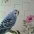 ���� �����, ������, 40 ��� - ��������� 30 ������ 2016