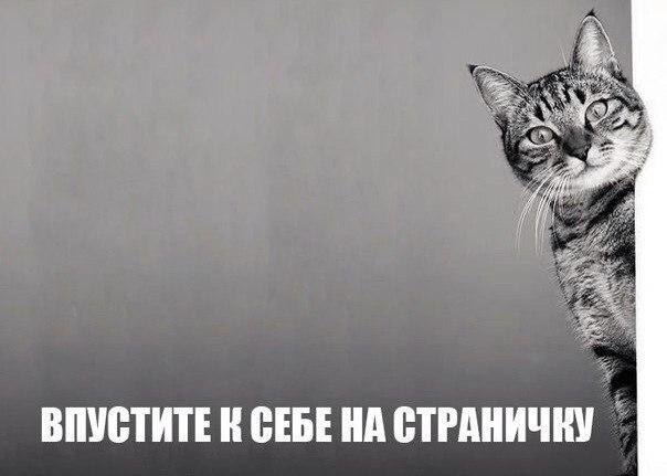    - 23  2015  08:03