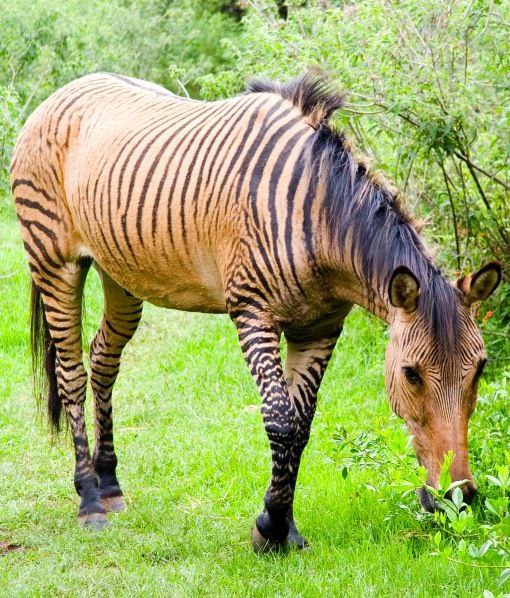 Look at this... 🌏 - 12 ������ 2015 � 06:35