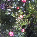 ���� �������, ��������� - ��������� 26 ������ 2016 � ������ ���� ����������