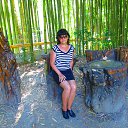 ���� �������, ������ ����� - ��������� 25 �������� 2015 � ������ ���� ����������