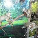 ���� ��������, �����, 63 ���� - ��������� 18 ������� 2015 � ������ ����� ��� ������������