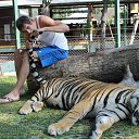 ���� ����, ������, 38 ��� - ��������� 1 ������ 2015 � ������ ���� ����������