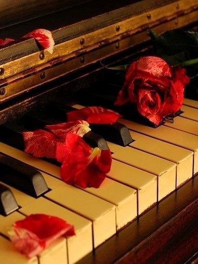 Музыка может рвать Душу до мурашек.Она поднимает и растаскивает до молекулОна лечит больную Душу и ...