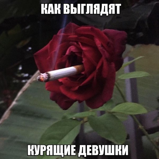 ���� � ������ - 28 ������� 2016 � 12:09