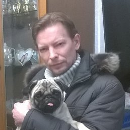 ���� �������, ������, 56 ��� - ��������� 26 ������ 2016