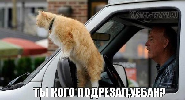 ������� ����������� "����� �����" - 12 ������ 2015 � 21:08