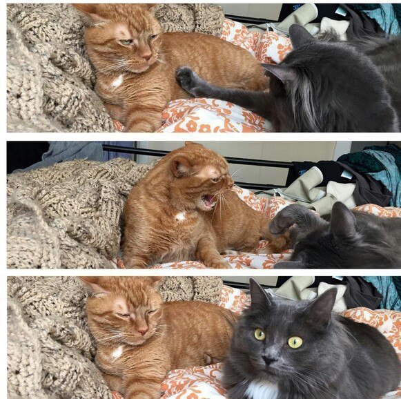 ��������� - ��� ������ ����